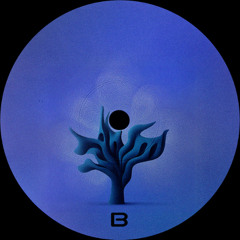 PREMIERE: Nurse Erica - Tree Of Life [Ellipse Records]