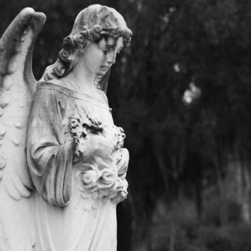 CARVEY HARM - CATCH YOU