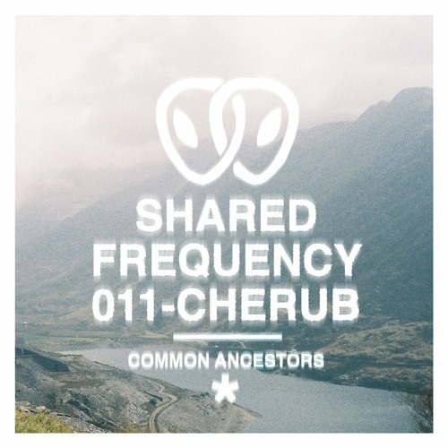 Shared Frequency 011: Cherub