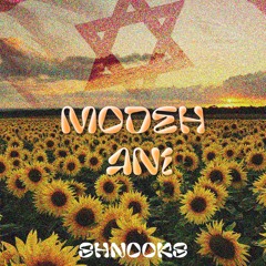 Israeli Edits
