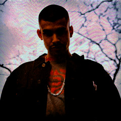Shadow of the Guillotine (Remix) [feat. Vinnie Paz]