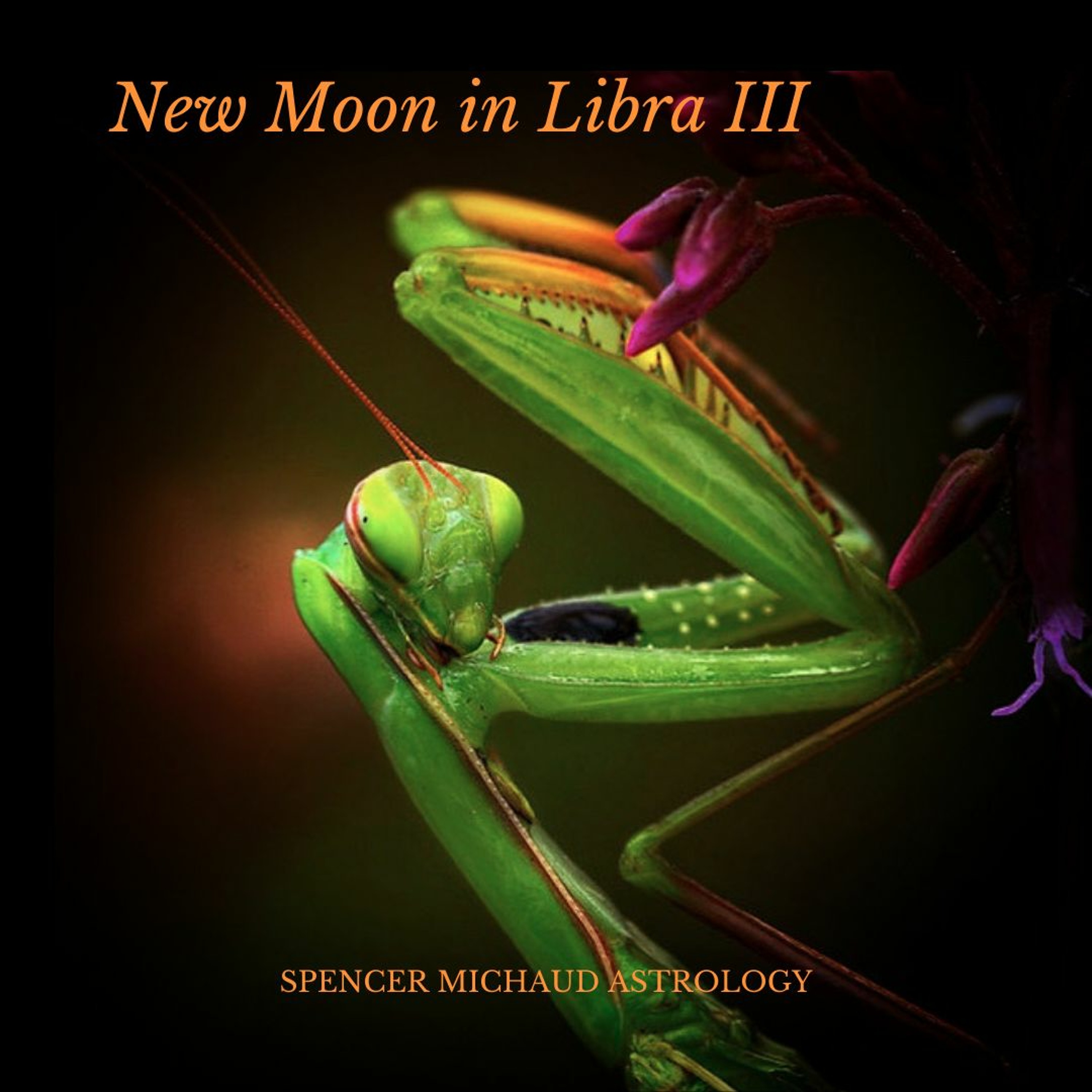 Spencer Michaud Astrology