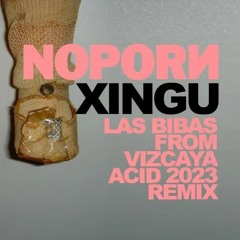 Noporn - Xingu (Las Bibas From Vizcaya Acid House 2023 Remix)