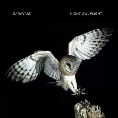 The Sequestered Politicians