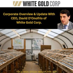 Corporate Overview & Update from CEO, David D’Onofrio of White Gold Corp.