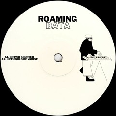 *PREMIERE* Roaming Data - Life Could Be Worse