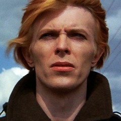 The Man Who Fell To Earth