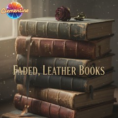 Faded, leather books
