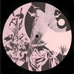 Soft Fade (Rainbird Mix) [OUT NOW]