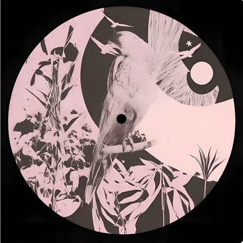 Soft Fade (Rainbird Mix) [OUT NOW]