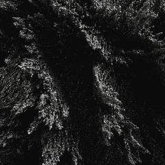 Guest Mixes / Radio Shows