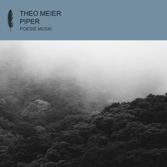 Theo Meier - Darko (snippet)
