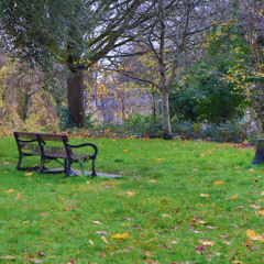 Baby Riot - Pay Not To Die (Official Audio)