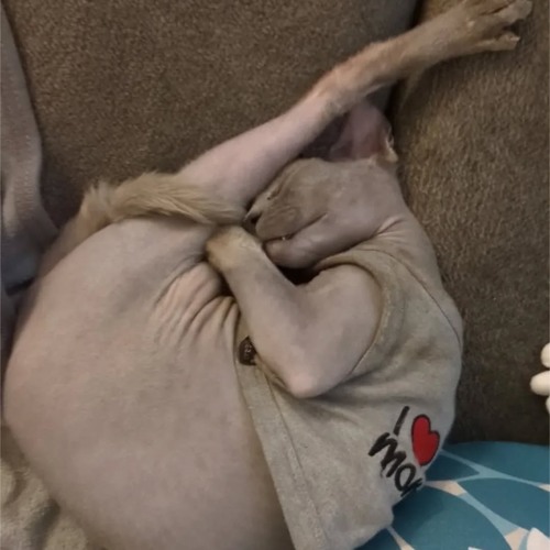 Chrome Eye Isn’t For The Small Talk