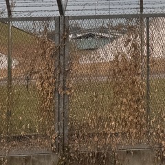 a knock on the door [a bootleg ethel cain cover]