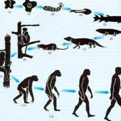 theory(444jet,me)
