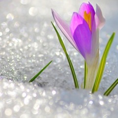 magical moments