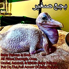 baby pelican (lil darkie x bruhmanegod) (prod. landfill)