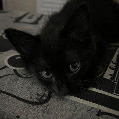 Cutting ties (Prod. EMXRY 3)