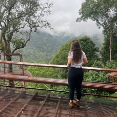 echo of the first sound.mp3