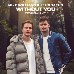 Mike Williams, Felix Jaehn - Without You (feat. Jordan Shaw)