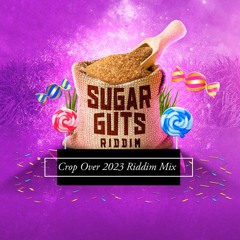 Sugar Guts Riddim Mix Crop Over 2023