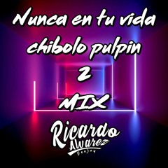 NUNCA EN TU VIDA CHIBOLO PULPIN 2 MIX OLD   DJ RICARDO ALVAREZ