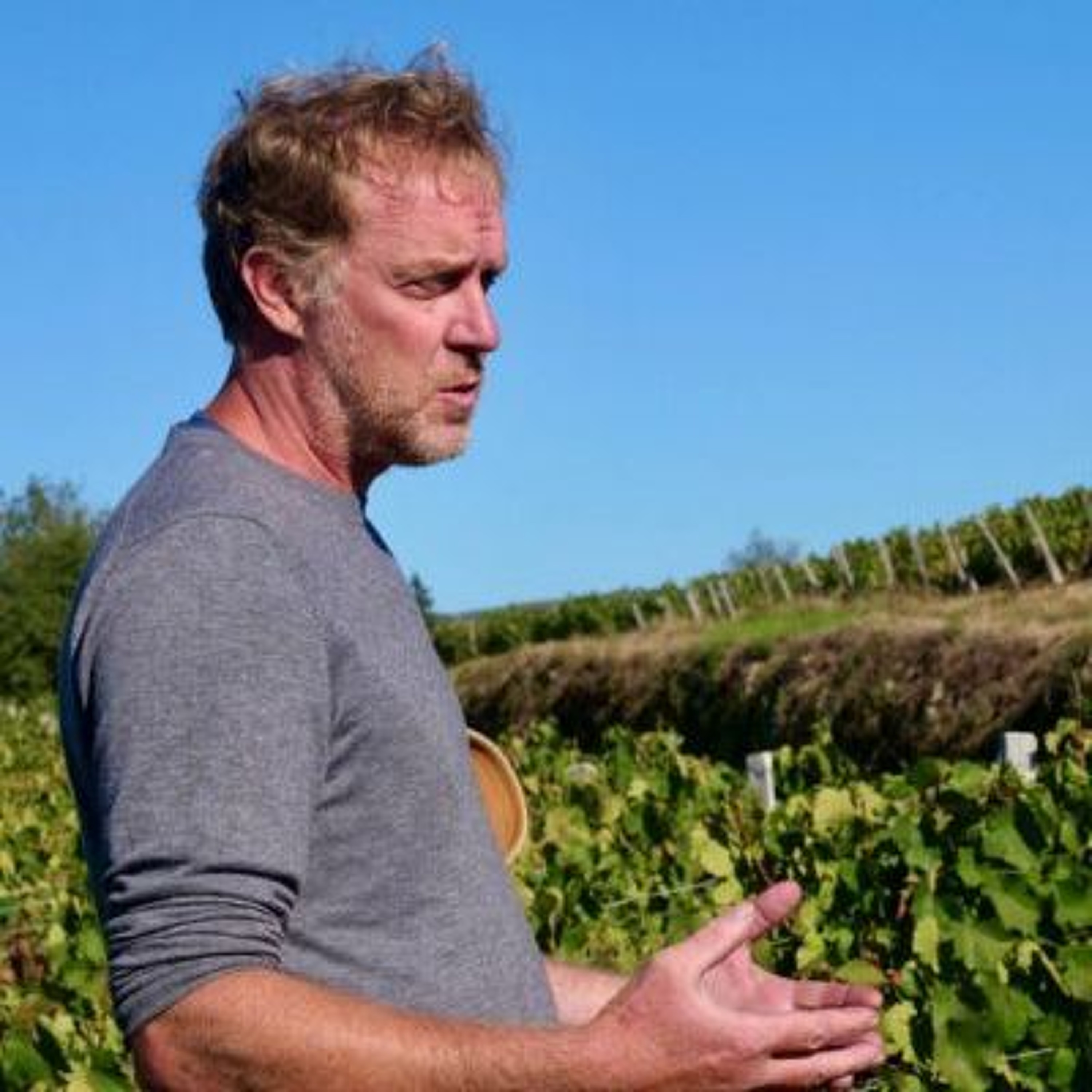 Maison Arnaud Combier - Macon