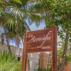 Los Arrecifes Mix - January 2025