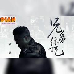 草爺-兄弟你說(DJDian-2020)