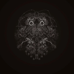 Neural Collapse 120