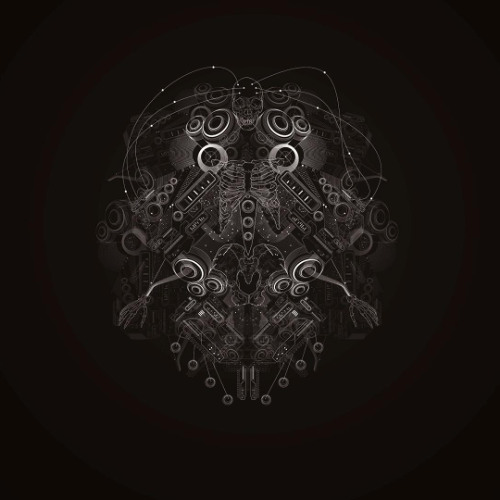 Neural Collapse 120