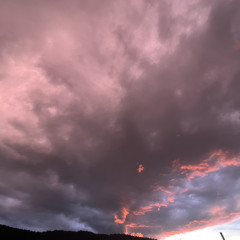 мөхөөлдөс идэх зуур