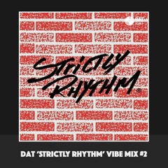 Dat 'Strictly Rhythm' Vibe Mix #2 [Vinyl Only]