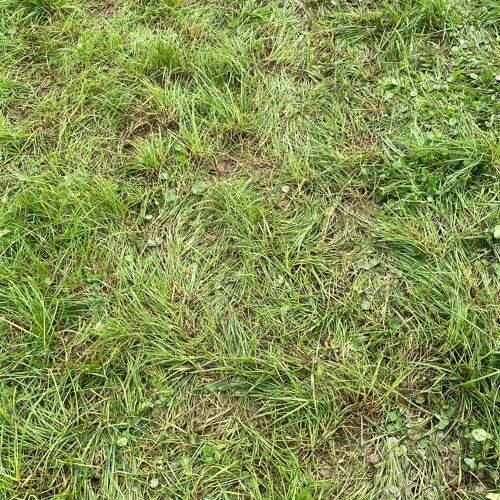 Learning to Dance - Chasing Abbey (PREVIEW)