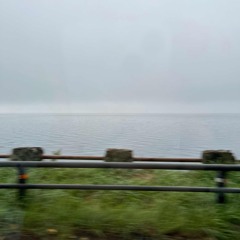 Here, There And Everywhere