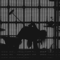 Ado| Freedom [wish]
