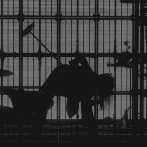 Ado| Freedom [wish]