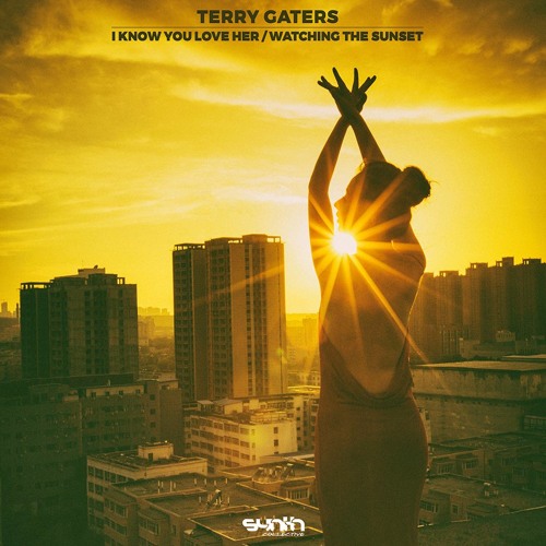 Terry Gaters - Watching The Sunset [Synth Collective]