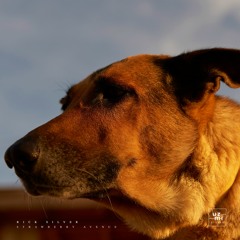 Rick Silver | Strawberry Avenue EP