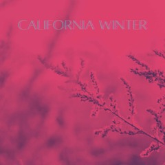 The Bad Dreamers - California Winter (Cover)