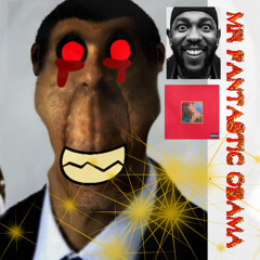 Mr Fantastic Obama