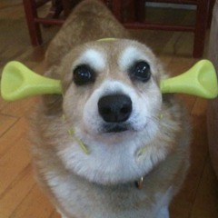 mini mix full of rawstyle