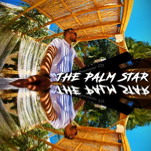 THE PALM STAR IBIZA 🌴