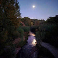 250927_0100 +CARABO SOLO+++B