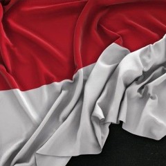 MC BRAZA - TROPA AQUI DA INDONESIA ( DJ MK OMLK SINISTRO )