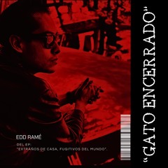Gato Encerrado