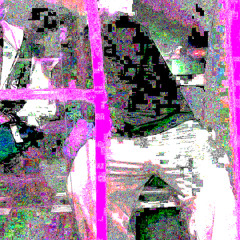 #obese #weightloss #fat #obesity