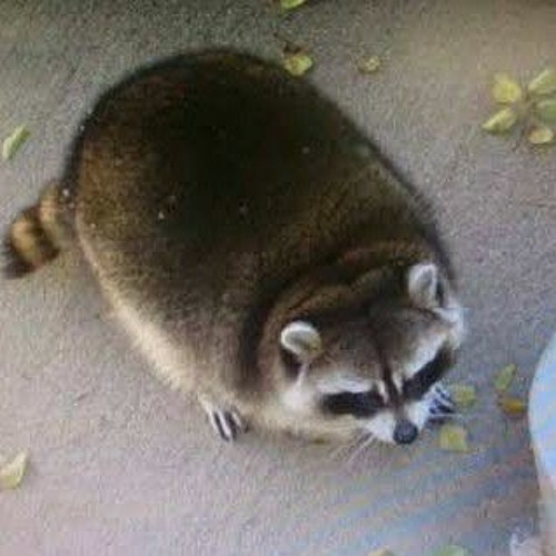 2gaudy (637godwin) - In The Middle