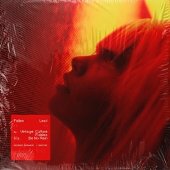 Vintage Culture - Fallen Leaf Feat. Be No Rain (Majoriz Remix) Prévia